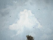 Obraz akwarelowy "Bliżej ziemi nr 13" detale - Piotr Cieślewicz