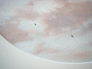 Obraz akwarelowy "Strzępki" detale  - Piotr Cieślewicz