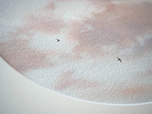 Obraz akwarelowy "Strzępki" detale  - Piotr Cieślewicz