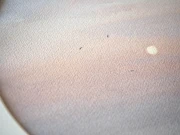 Obraz akwarelowy "W oddali" detale - Piotr Cieślewicz