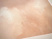 Obraz akwarelowy "Tandem" detale - Piotr Cieślewicz