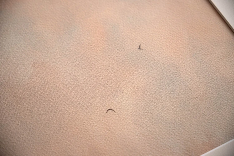 Reprodukcja "Wzloty" zbliżenie