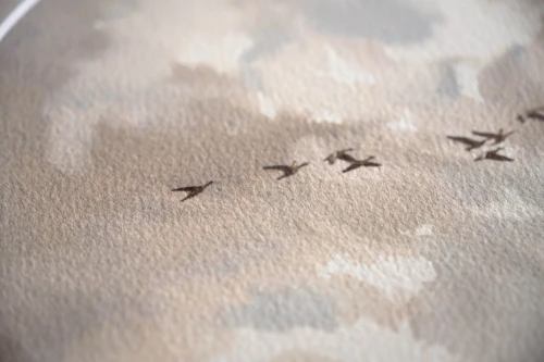 Reprodukcja "Ucieczka" zbliżenie