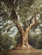 Piotr Cieślewicz - obraz olejny "Drzewo oliwne"