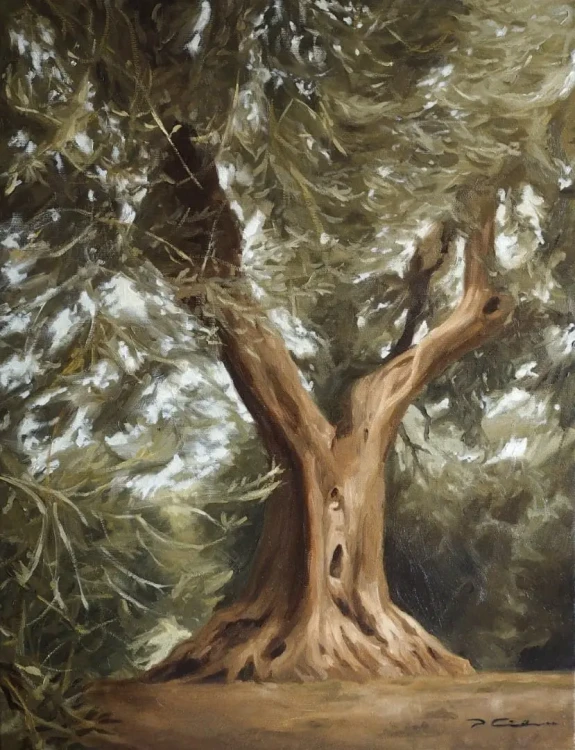 Piotr Cieślewicz - obraz olejny "Drzewo oliwne"