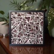 Sztuka-nieomieszkania---wycinanka-Natlok-utkany-szalwia-w-czarnej-aluminiowej-ramie.webp